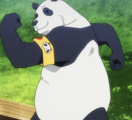 Igual la foto de Panda de Jujutsu.