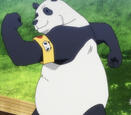 Icon de Panda de Jujutsu Kaisen.
